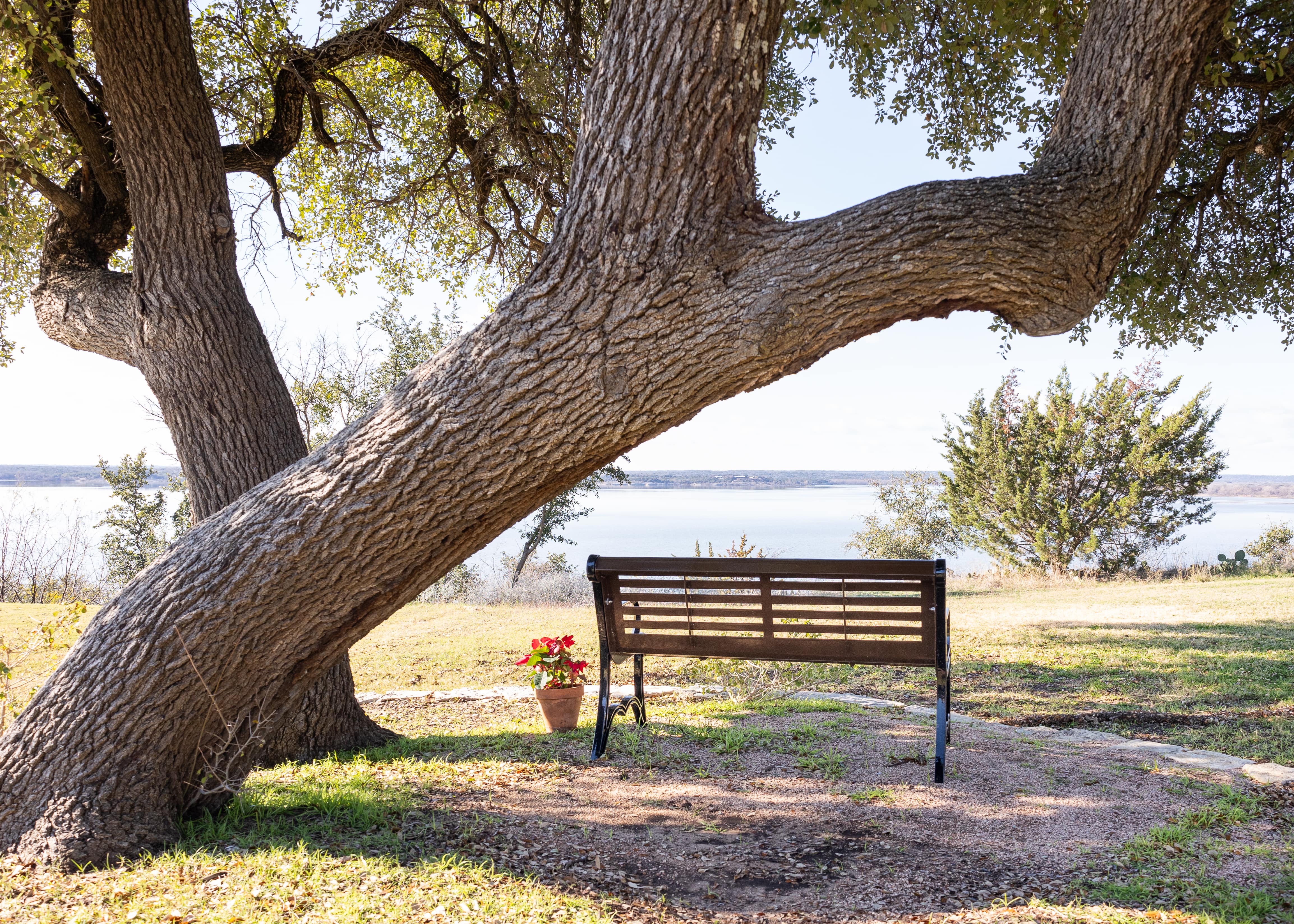 Back Angle of MyTCoat Austin Bench with Horizontal Slatted Steel with River Backgroud and Flower Pot