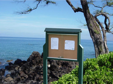 Frog Furnishings Medium Green Outdoor Message Center Cork Bulletin Board with Sliding Door and Ocean Background