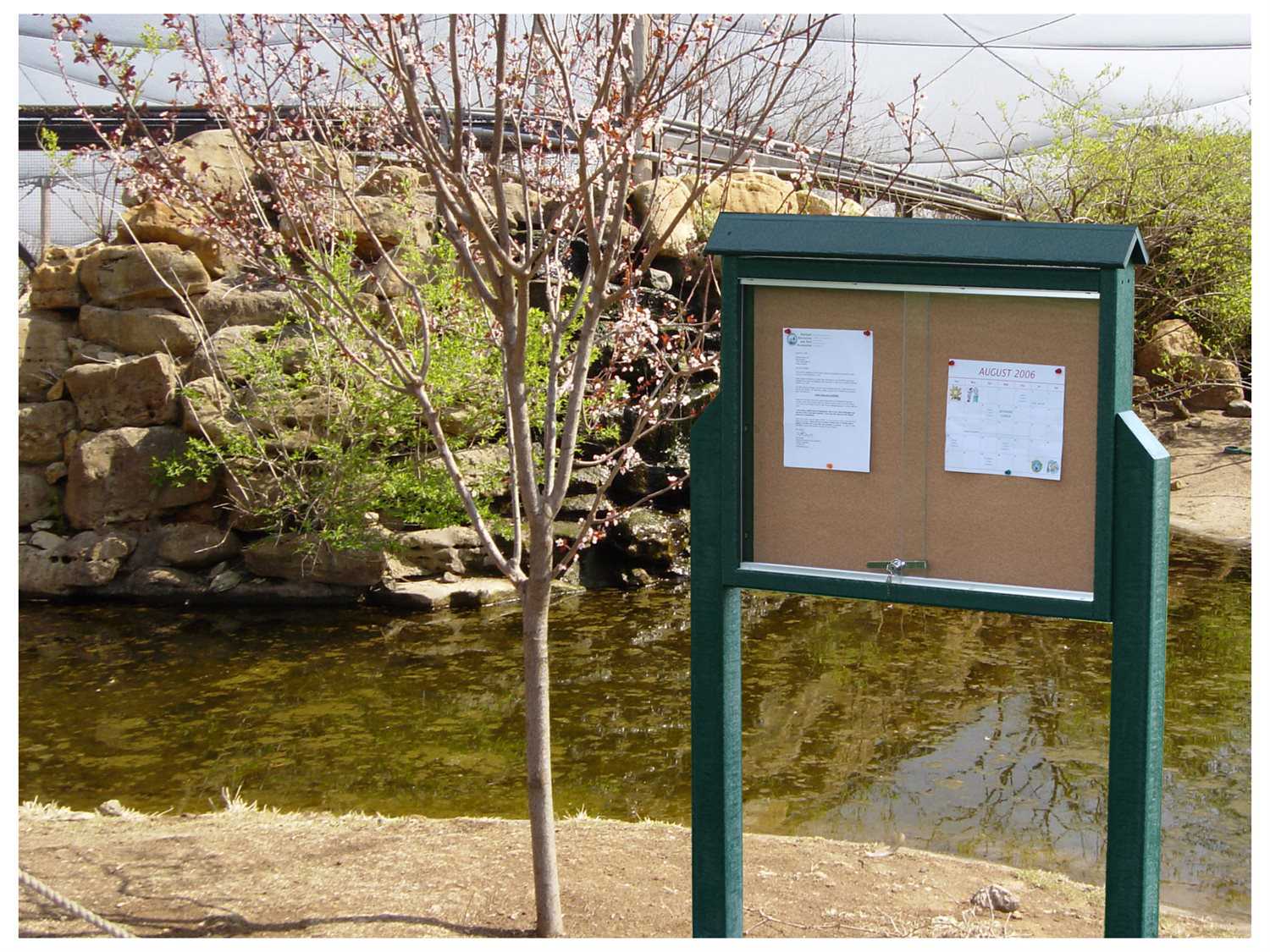 Frog Furnishings Medium Green Outdoor Message Center Cork Bulletin Board with Sliding Door and Zoo Background