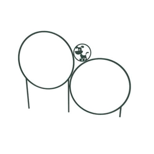 Green MyTCoat Dog Park 2 Hoop Jump Studio Image