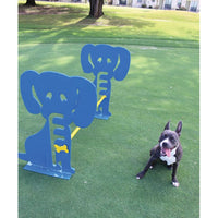 Dog Park