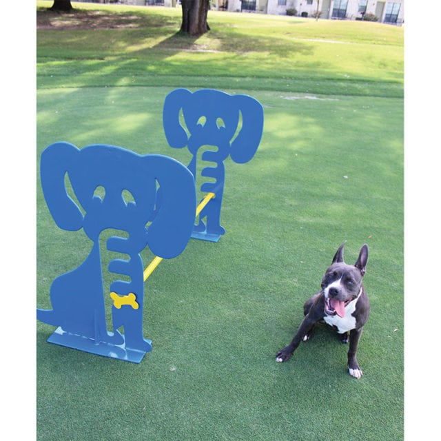MyTCoat Dog Park Hurdle Lifestyle Image with Dog Beside