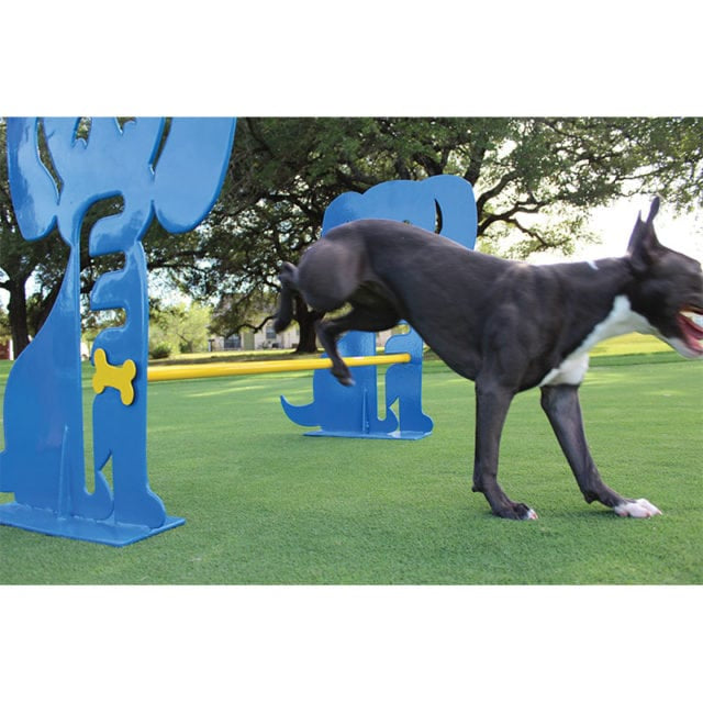 MyTCoat Dog Park Hurdle Lifestyle Image with Dog Jumping