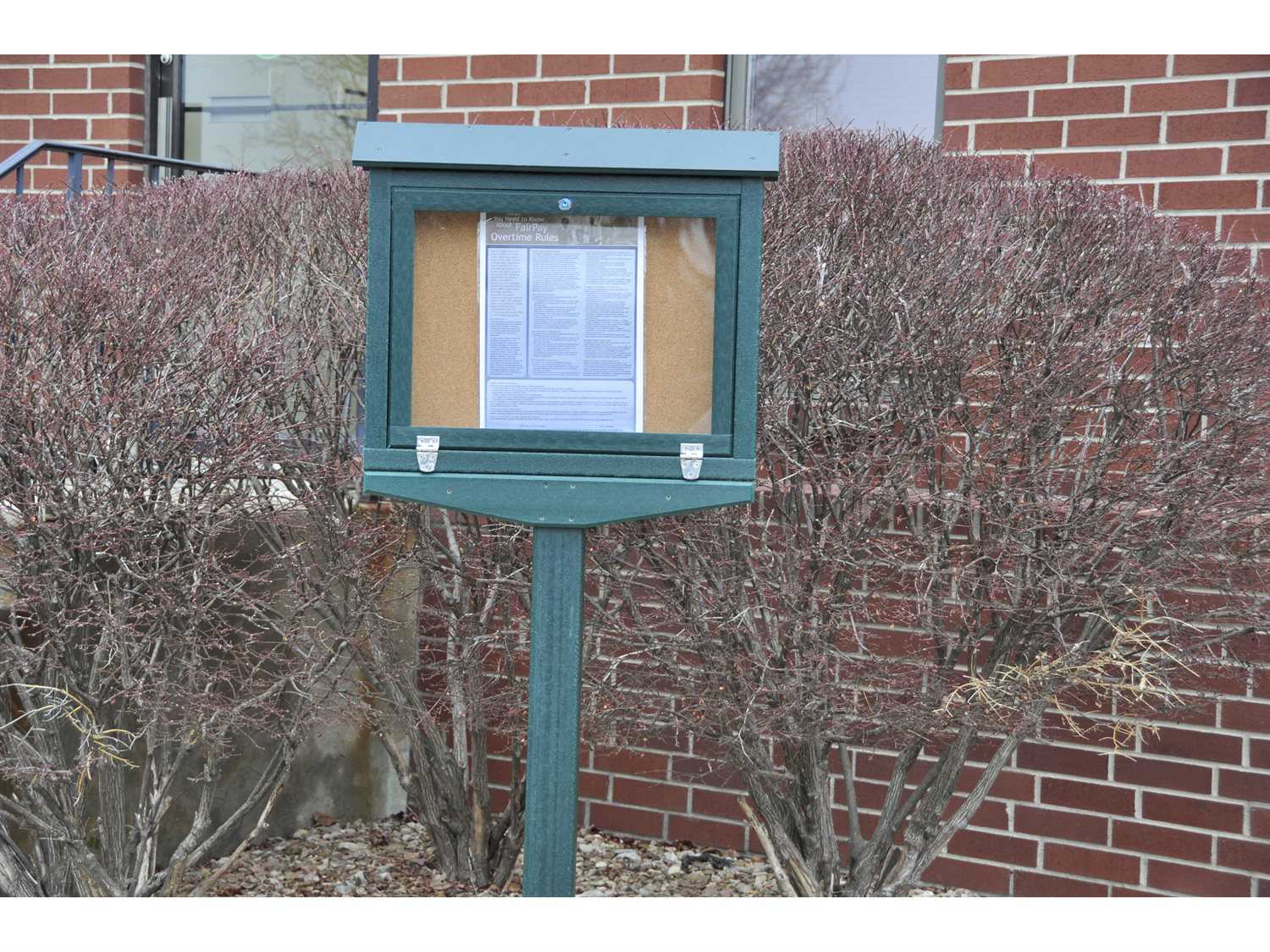 Small Green Frog Furnishings Hinged Outdoor Message Center Cork Bulletin Board In front of School