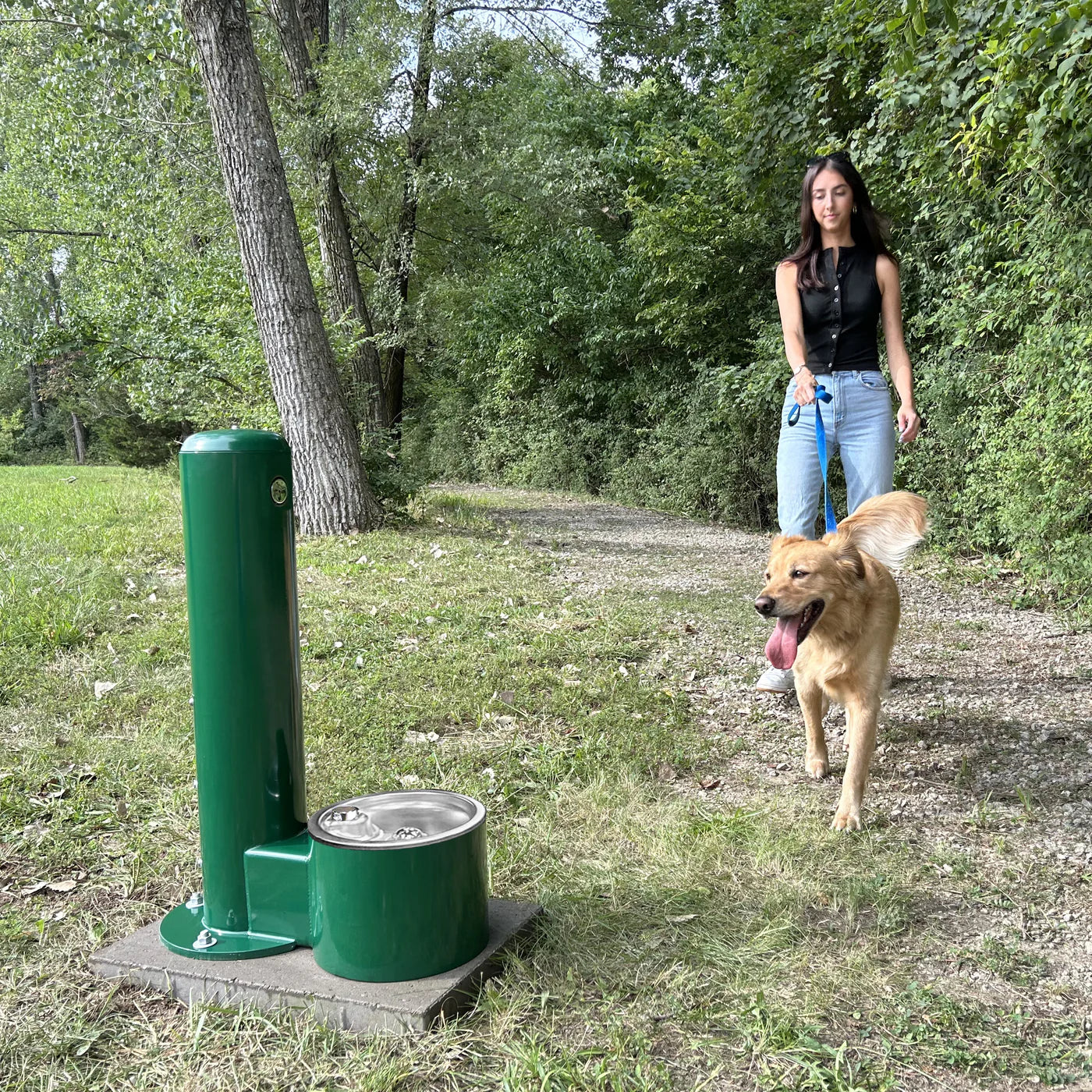 Stern-Williams 9000 Outdoor Dog Drinking Fountain with Dog and Human about to Drink