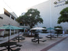 Black Wabash Valley Signature Round Pedestal Picnic Tables with Diamond tops set inground in a university courtyard with patio umbrellas, contract outdoor furniture