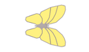 Top view of Yellow USA Shade Butterfly Wings Shade on a white background