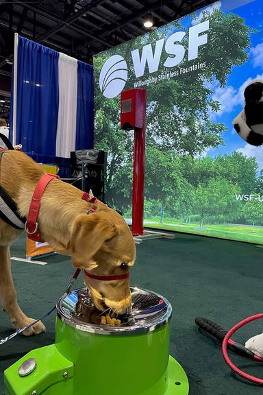 Dog Drinking From Willoughby Stainless Dog Bowl Water Fountain at an event with 'WSF' branding in the background.