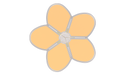 Top view Beige of USA Shade Flower Shade Structure white background studio image