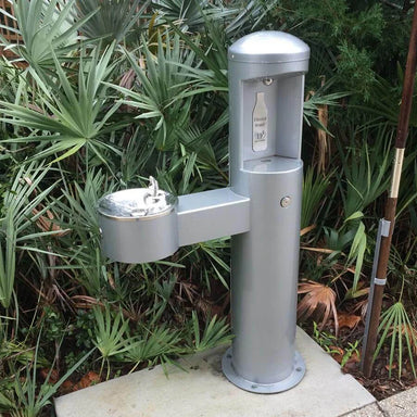 Metallic Gray Green Willoughby Stainless Side Approach Bottle Filler Drinking Fountain with bottle cap on a green leafy background