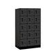 Salsbury Black 5 Tier 15-Door Designer Wood Locker Studio Image