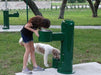 Stern-Williams 9000 Dog Park Pet Water Fountain attached to drinking fountain with dog and human drinking.