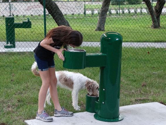 Stern-Williams 9000 Dog Park Pet Water Fountain attached to drinking fountain with dog and human drinking.