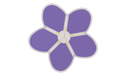Top view Purple of USA Shade Flower Shade Structure white background studio image