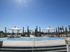 Outdoor area with palm trees, USA Shade 4-point Twilite Umbrellas, and a pool under a clear blue sky.
