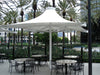 Outdoor seating area with tables and chairs under large USA Shade 4-point Twilite Umbrellas, palm trees, and buildings in the background.