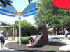 Children playing on a playground with a USA Shade Butterfly Wings Shade and tree trunk slide.